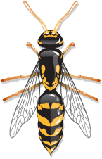 Icon image of a wasp