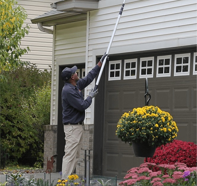 Rove Pest Control Minnesota Pest Control And Exterminators